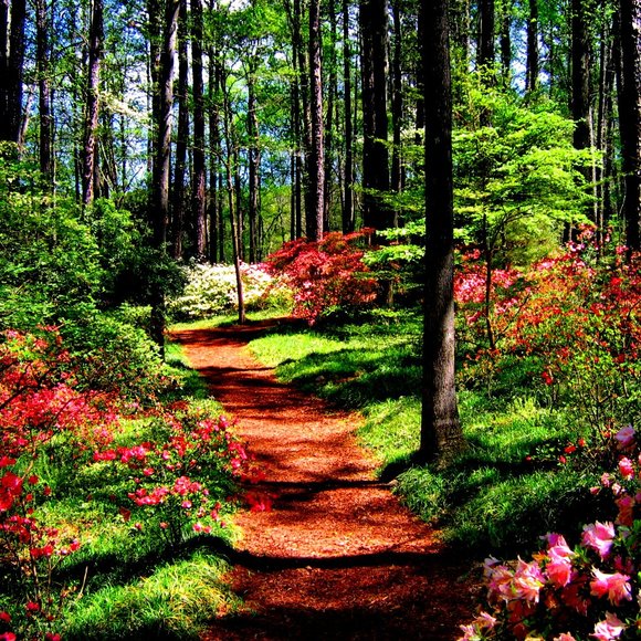 Meet your Posher, Libby - Picture 7 of 16